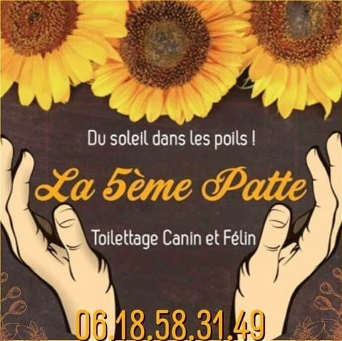 Description de l'image